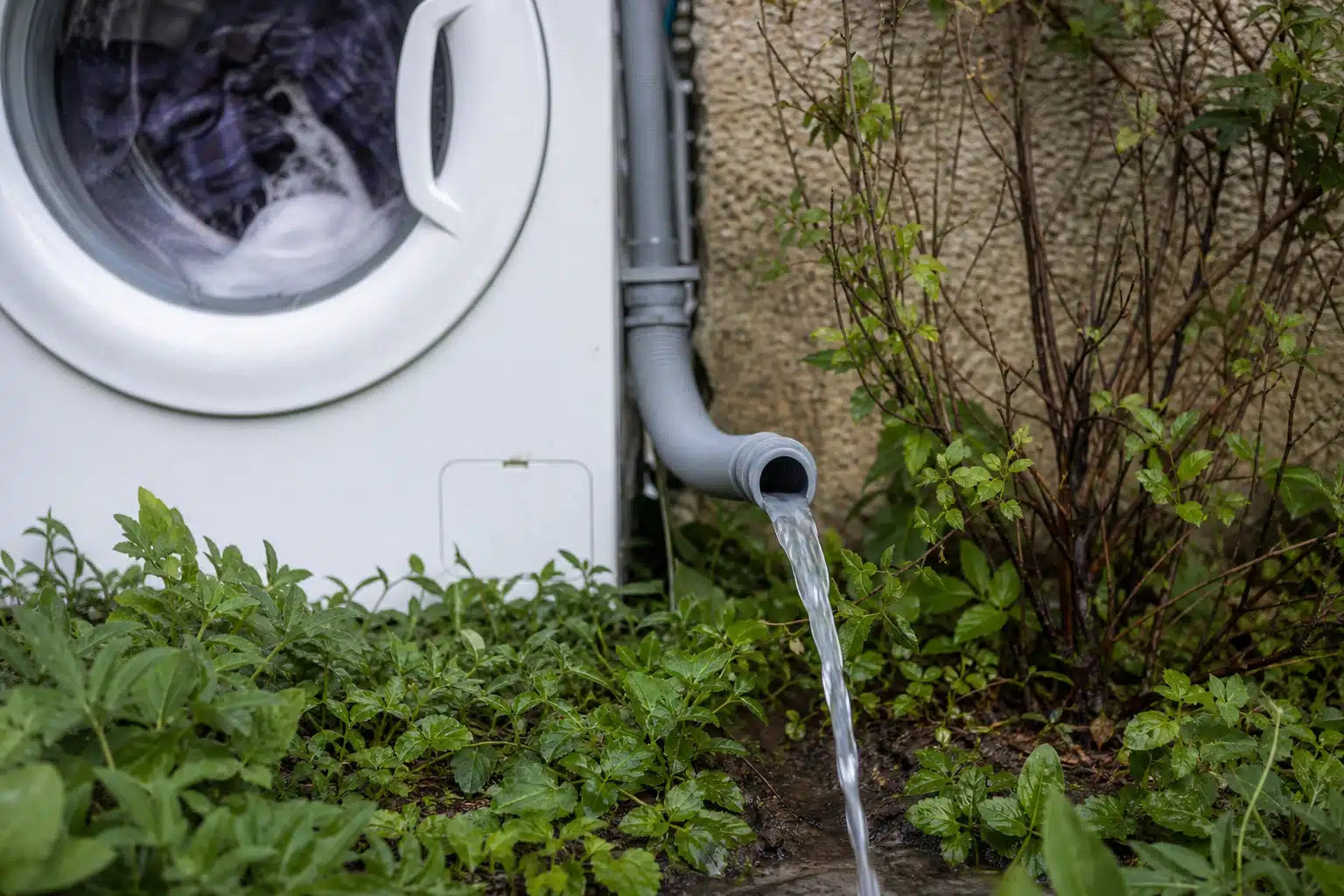 Tuyau de machine à laver déversant de l'eau dans l'herbe