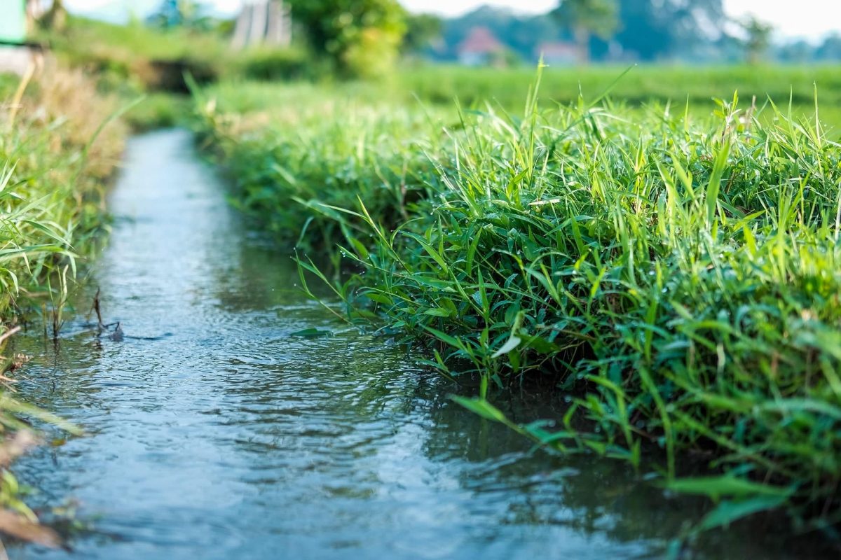 Echelle d'eau pour plantations