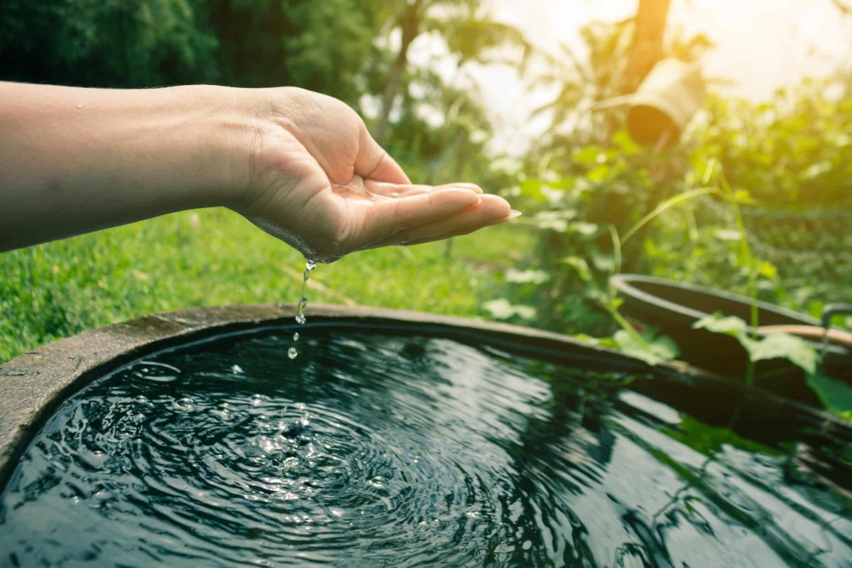 récupérer l'eau, économiser l'eau