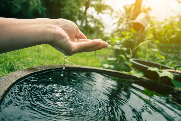 récupérer l'eau, économiser l'eau